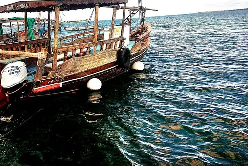 Watamu & Dolphin Dhow Safari